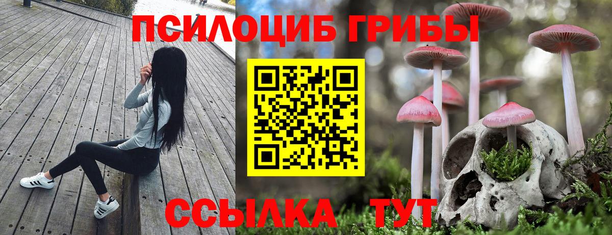 где купить наркоту  Псилоцибиновые грибы Psilocybine cubensis  Вход с VPN  Борзя 